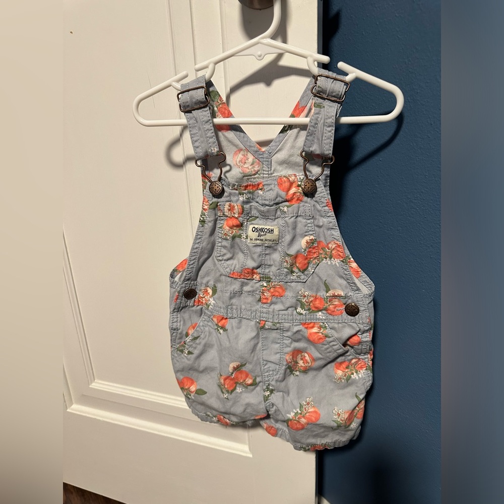 Blue Peach Oshkosh B’Gosh Bibs 2T